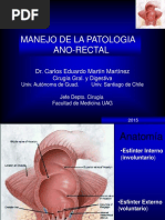 Anatomía del Recto y Ano | PDF | Recto | Intestino grueso