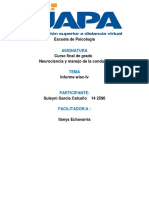 Informe Wisc-IV 1