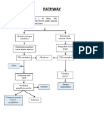 Glaukoma Pathway