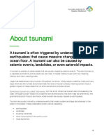 Tsunami Student Resource PDF