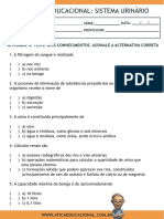 ATIVIDADE SISTEMA URINÁRIO.pdf