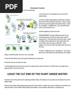 Transpiration Rate Experiment with Potometer | PDF
