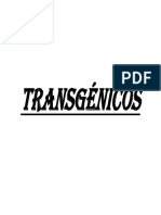 TRANSGENICOS.pdf