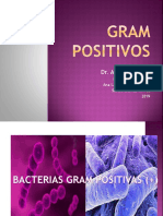 1.1 bacterias