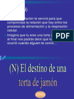 torta_jamon.pdf