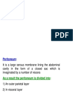 Peritoneum Vertical Disposition 2