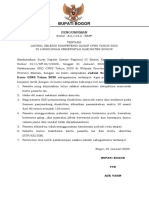 Pengumuman Jadwal SKD CPNS 2019 PDF