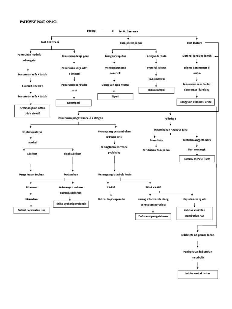 Pathway Post Operasi Sectio Caesarea | PDF