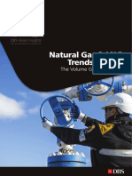 Insights LNG PDF