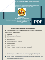 MORFOLOGI DAN KLASIFIKASI FUNGI