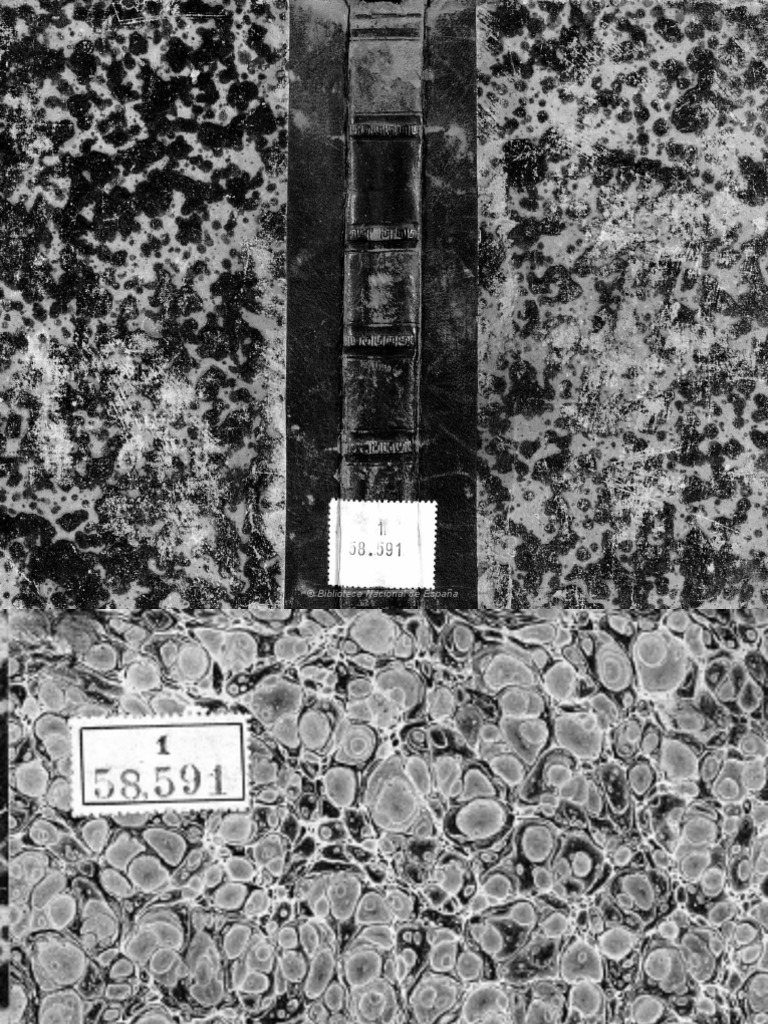 Ensayo bibliográfico mexicano del siglo XVII, image size:768x1024