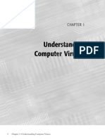 Understanding Computer Viruses