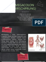 PPT-MEGACOLON.pptx