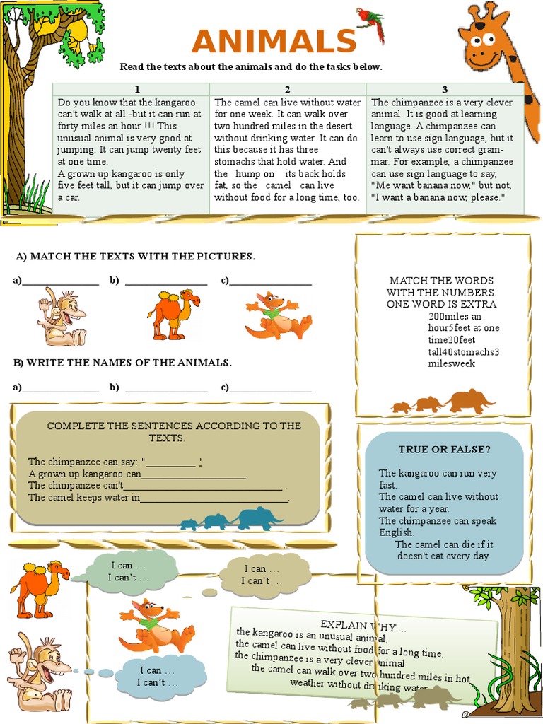 Unique Animal Facts for Kids | PDF