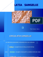 Circulatiasangelui 1