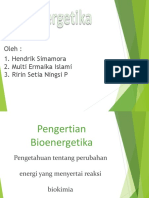 BIOENERGETIKA