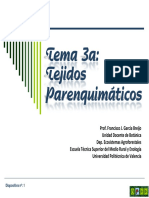 Tema 3a Parenquimáticos PDF