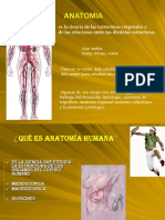 Anatomia General Posiciones. para Evaluación Apoyo