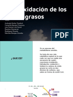 Beta Oxidacion PDF