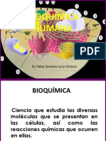 Bioquimica Humana 2018