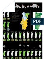 Arvores Autotones de Portugal