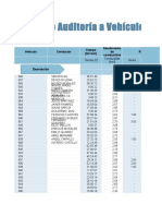 auditoria del vehiculo.xlsx