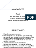 anato_2_teorico_9.pdf