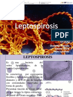Leptospirosis Edward