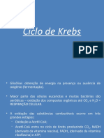 6.Aula Ciclo de Krebs [25.03.2010]