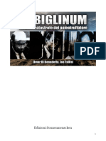 In Biglinum PDF