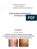 Teórico (V1) Exantemáticas Virales PDF
