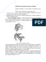 Curs 5 Trasarea fundatiilor III MICI.pdf