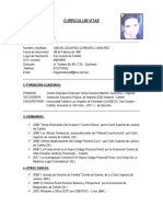 Modelo de Curriculum Vitae