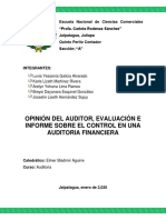 Opinión Del Auditor, Evaluación e Informe Sobre El Control en Una Auditoria Financiera