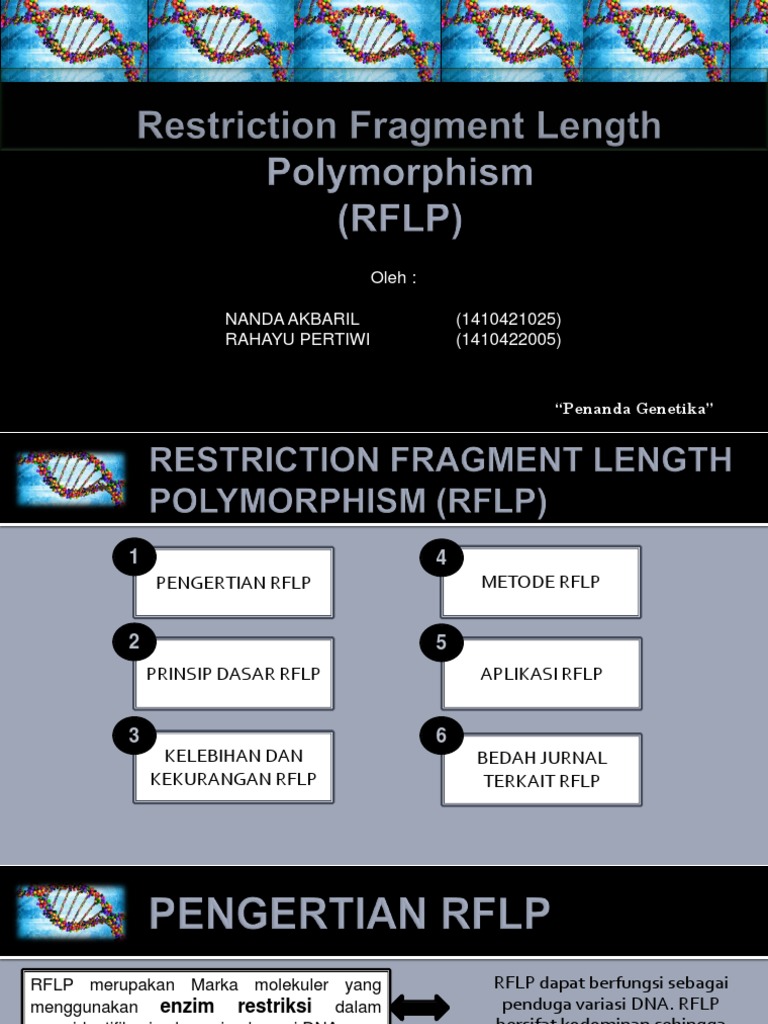 Penanda Genetik RFLP | PDF