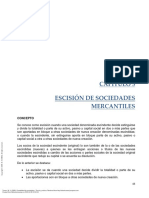 Escision de Sociedades PDF