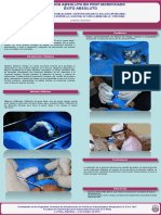 Póster .pdf-PDFA