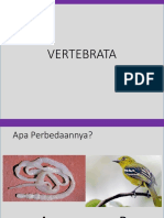 Presentasi Vertebrata