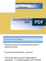 Enviromental Disease