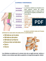 Columna