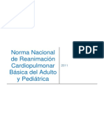norma-nacional-RCP.pdf
