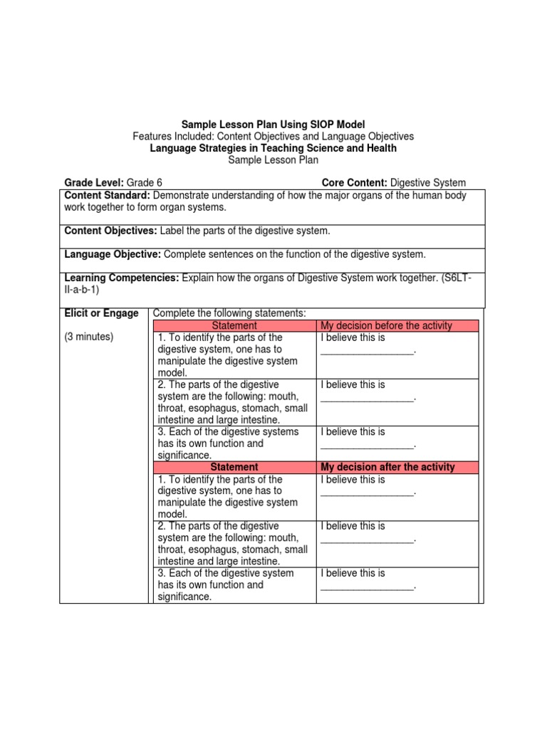 Grade 6 Digestive System Lesson Plan | PDF | Digestion ...