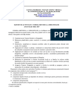 Raport PDF