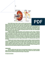 Uji Fungsi Ginjal Ii