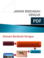 DBD] Demam Berdarah Dengue (DBD) dan Cara Pencegahannya