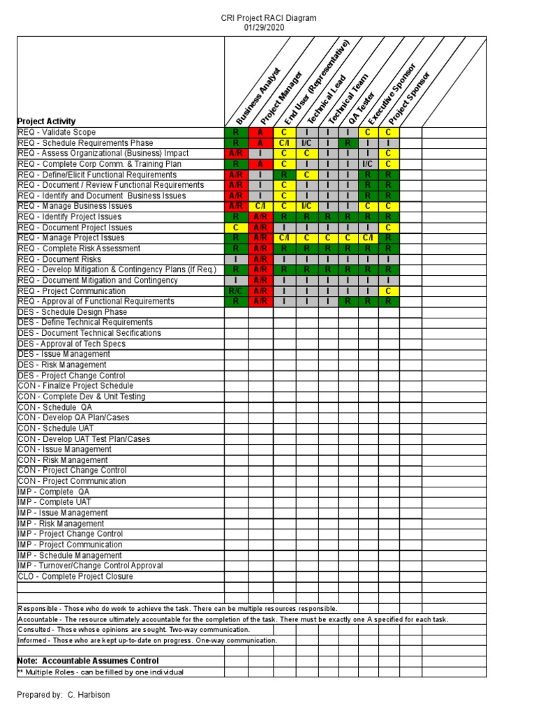 RACI | PDF | Risk Management | Computing