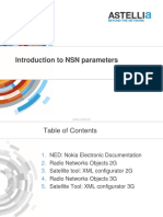 NSN Parameters Introduction V1