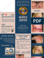 HERPES ZOSTER PENYEBAB, GEJALA, JENIS DAN PENGOBATANNYA