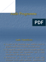 Audit Programme