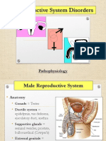 Reproductive DO PDF